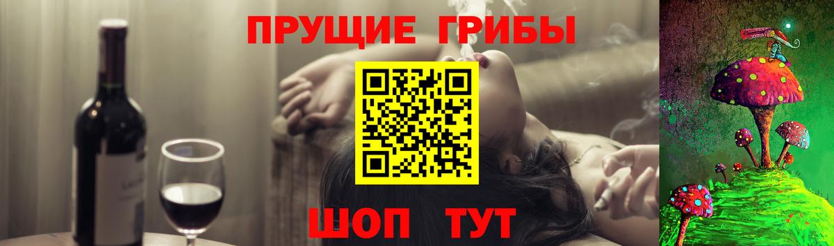 что такое   Псилоцибиновые грибы мухоморы  Вход с VPN  Узловая 